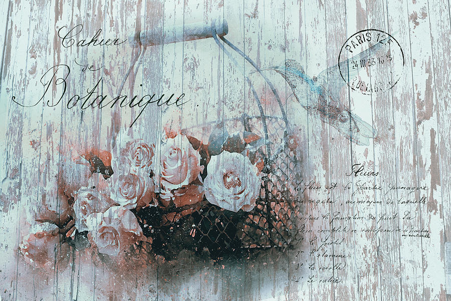 Shabby Chic Basket Of Pink Roses #1 Photograph by Maria Angelica Maira