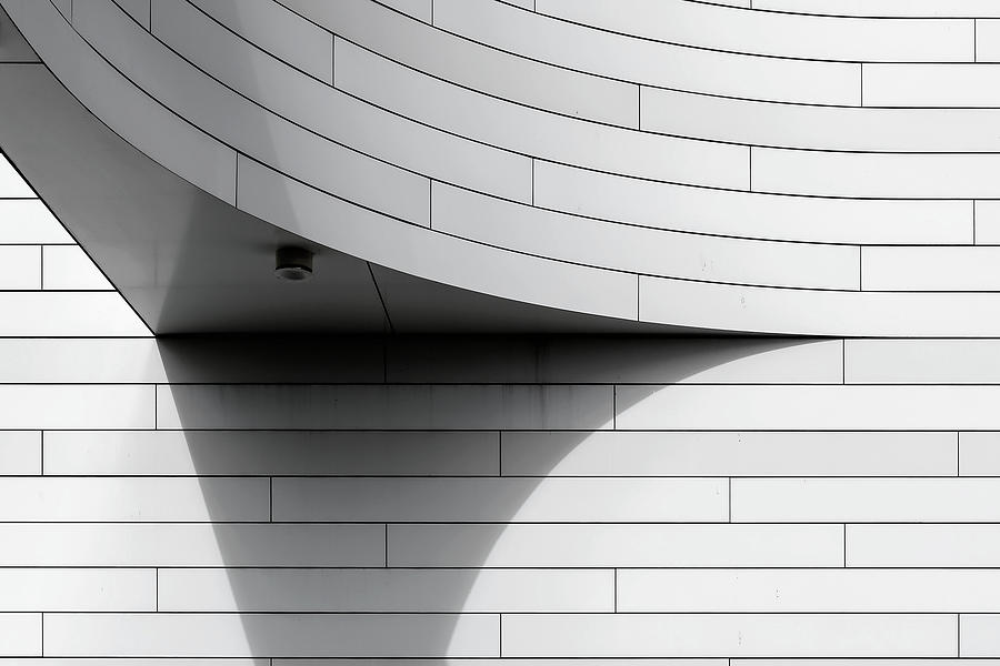 Shadow #1 Photograph by Henk Van Maastricht