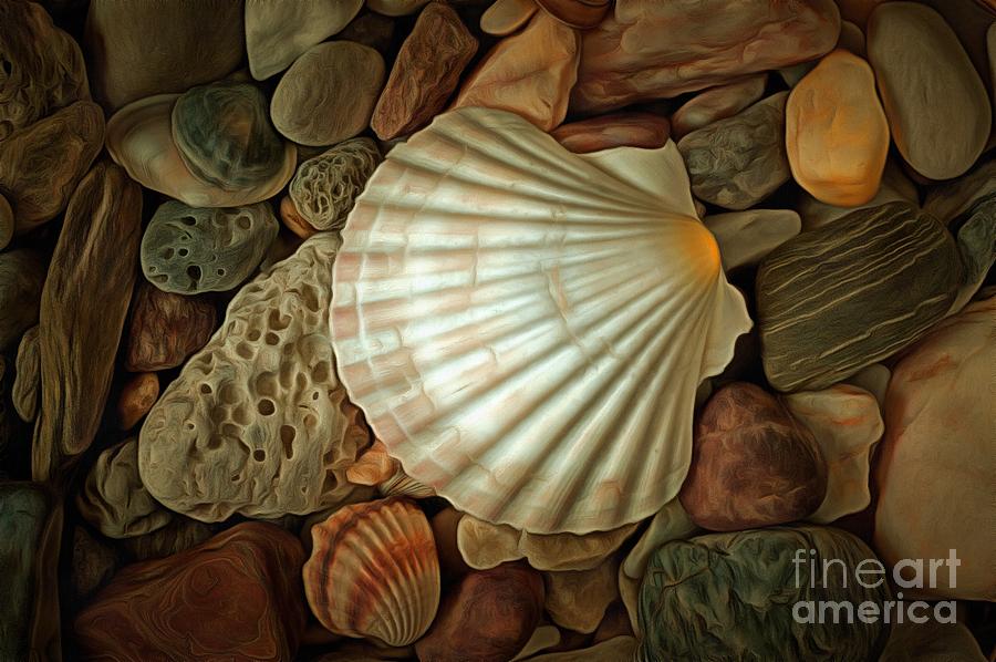 Shell On Sea Pebble Stones #1 Digital Art by Michal Boubin