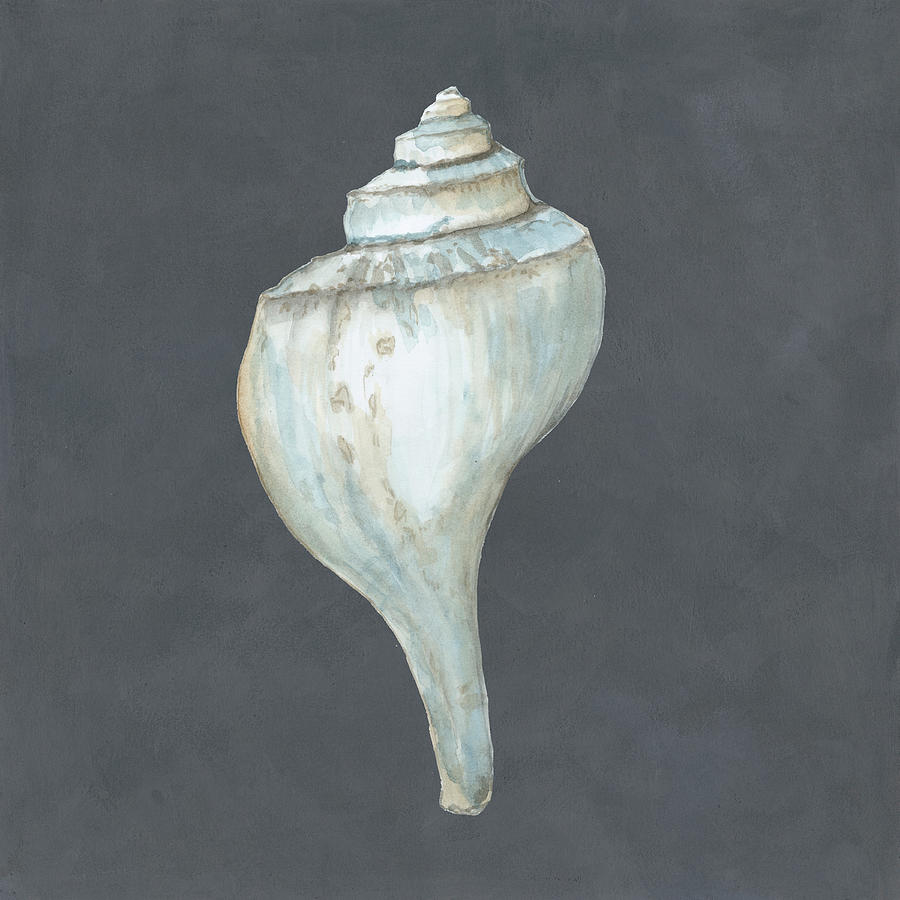 Shell Painting - Shell On Slate Iv #1 by Megan Meagher