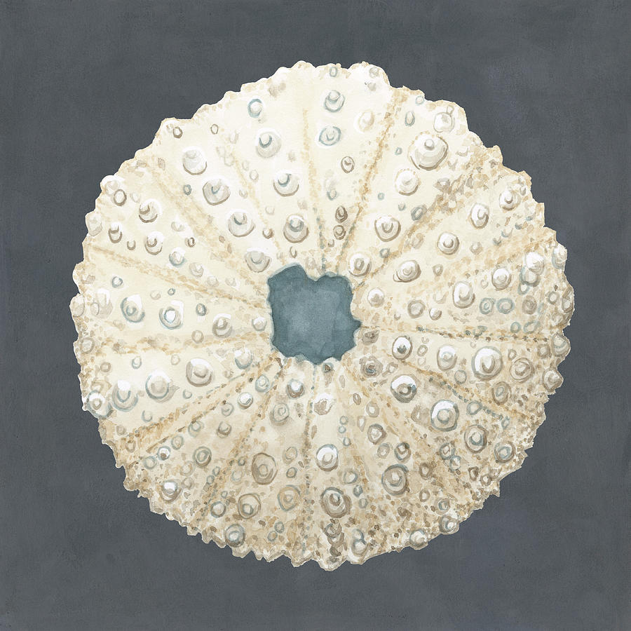 Abstract Painting - Shell On Slate Vii #1 by Megan Meagher
