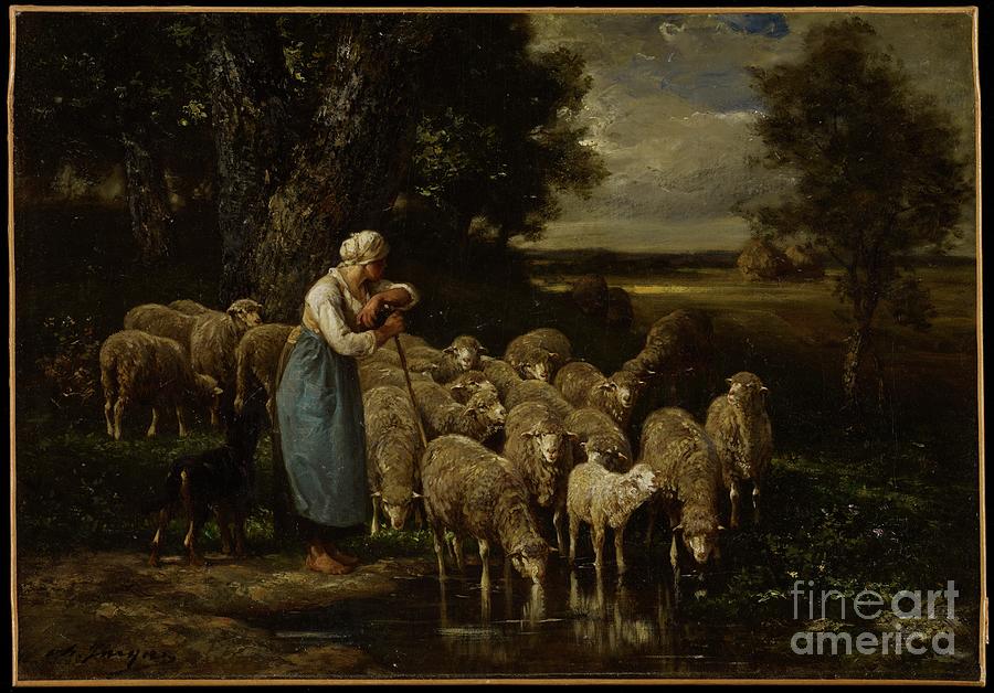 Animal Painting - Shepherdess And Sheep, Fontainebleau by Charles Emile Jacque