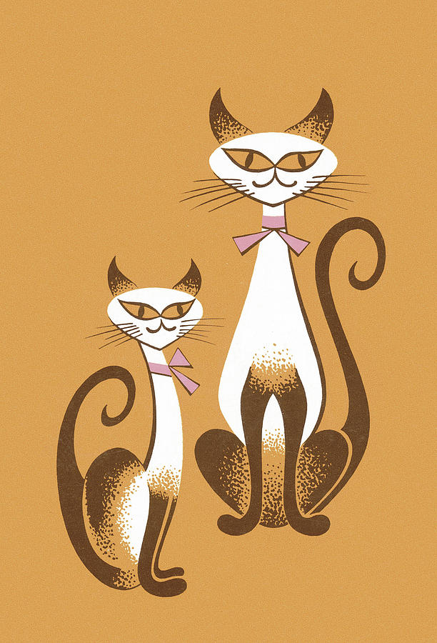 Vintage Drawing - Siamese cats #1 by CSA Images