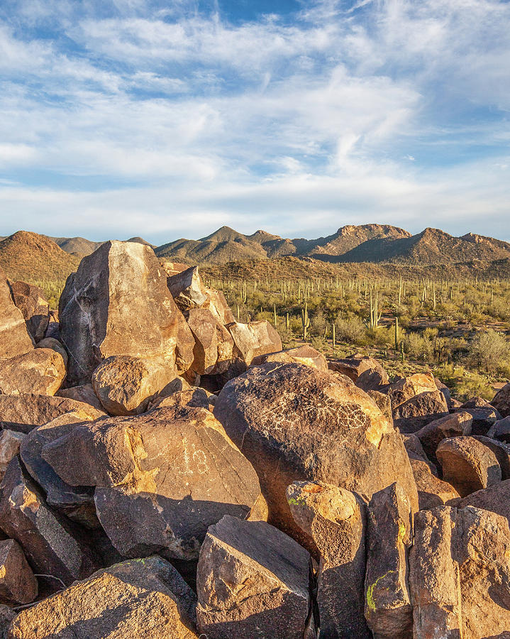Signal Hill Petroglyphs III by Lon Dittrick Signal Hill Petroglyphs III by Lon Dittrick