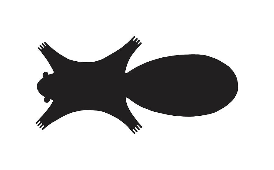 Black And White Drawing - Silhouette of a Flat Beaver #1 by CSA Images