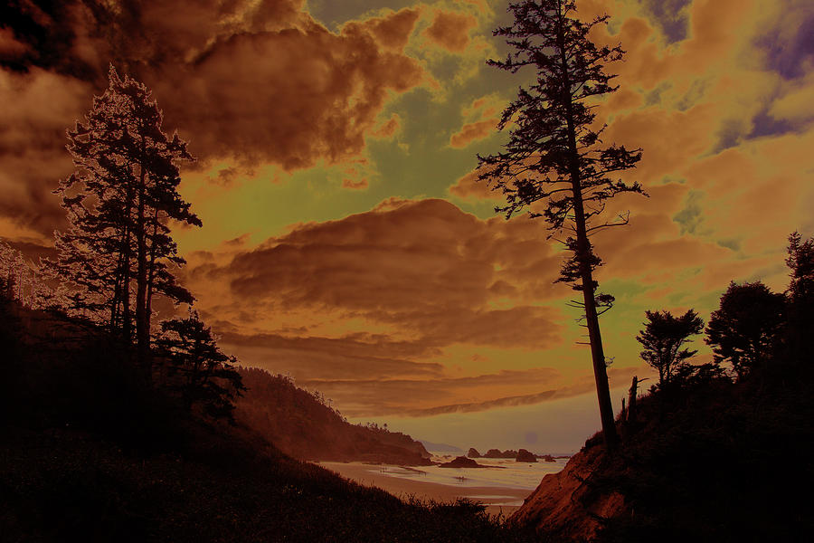 Silhouette of large conifers on coastal headland #1 Photograph by Steve Estvanik