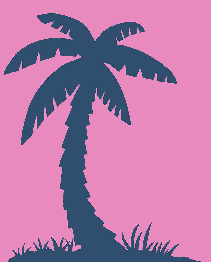 Nature Drawing - Silhouette of Palm Tree #1 by CSA Images