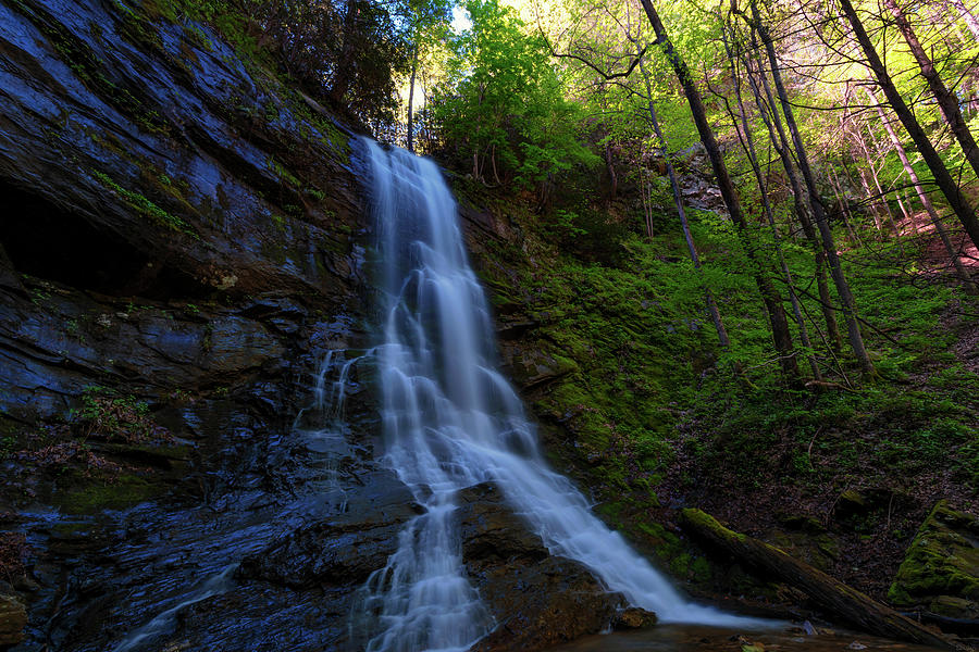 Sill Branch Waterfalls in Unicoi County Tennessee by Dee Browning Sill Branch Waterfalls in Unicoi County Tennessee by Dee Browning