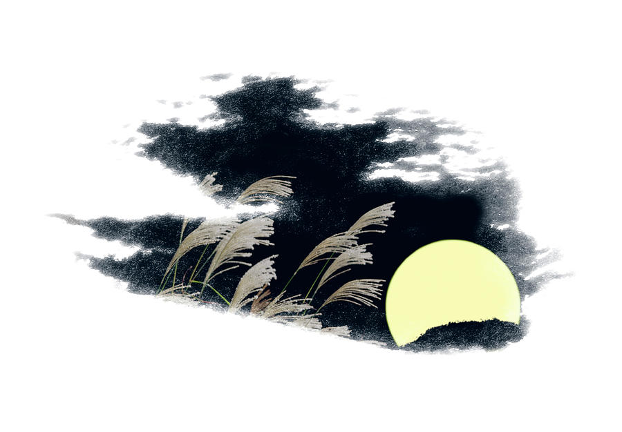 Silver Grass And Full Moon #1 Digital Art by Norio Sato/a.collectionrf