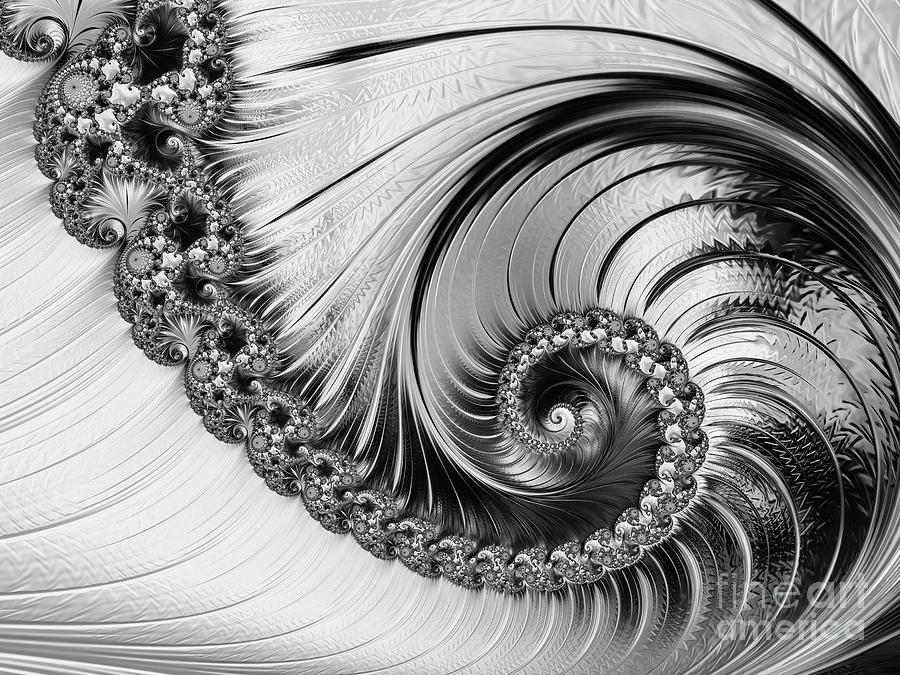 Black And White Digital Art - Silver Jewels #1 by Elisabeth Lucas