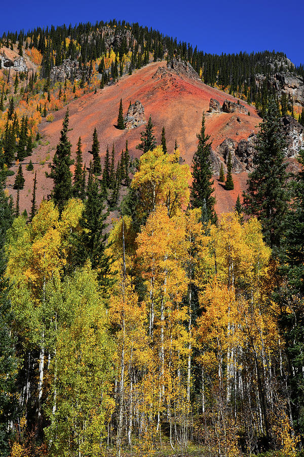 Silverton Fall Colors #1 Photograph by Ray Mathis