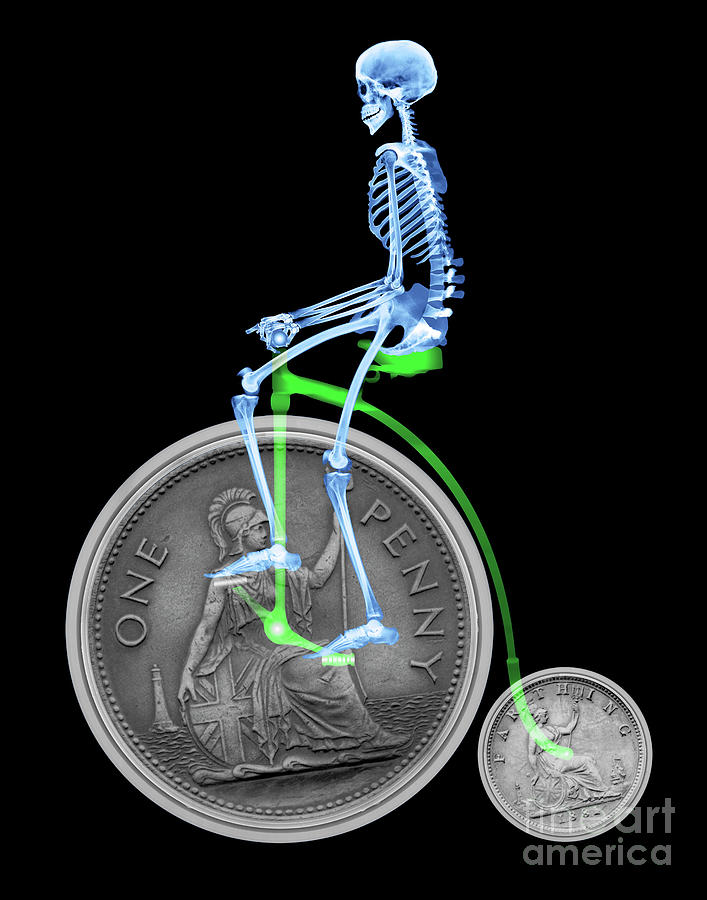 Skeleton On A Penny Farthing Photograph by D. Roberts/science Photo Library
