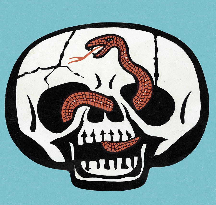 https://images.fineartamerica.com/images/artworkimages/mediumlarge/2/1-skull-and-snake-csa-images.jpg