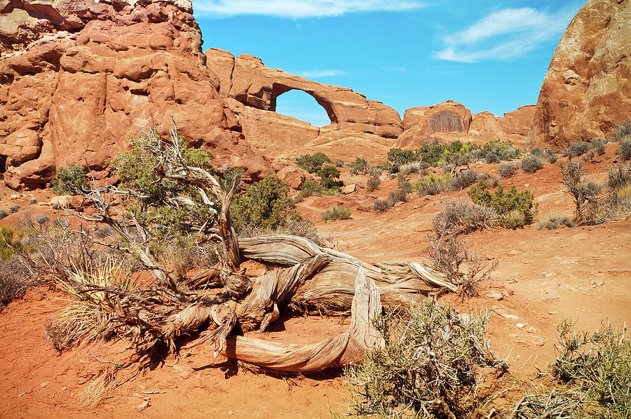 Skyline Arch, Arches National Park Photograph by Fotomonkee