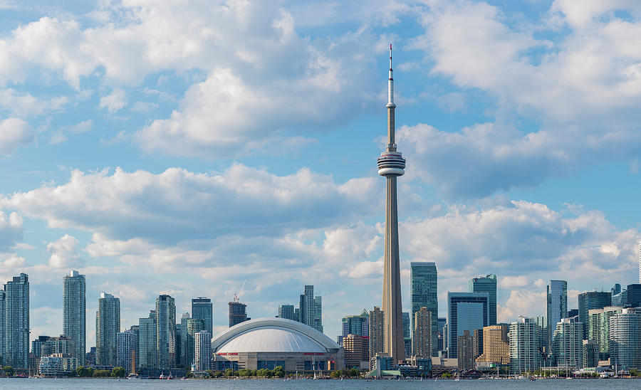 Skylines And Cn Tower From Toronto #1 Photograph by Panoramic Images