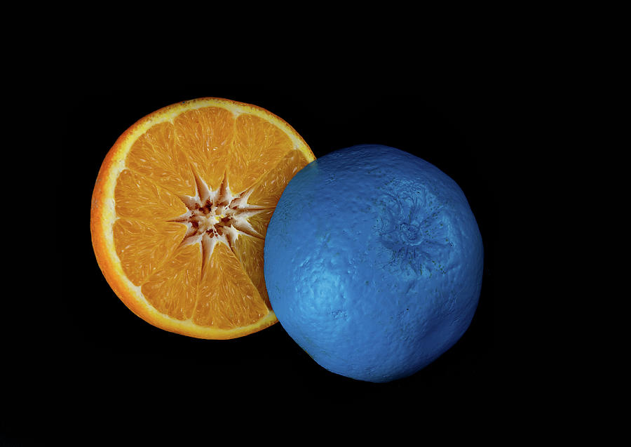 Slices of  blue and orange fresh Citrus orange fruit #4 Photograph by Michalakis Ppalis