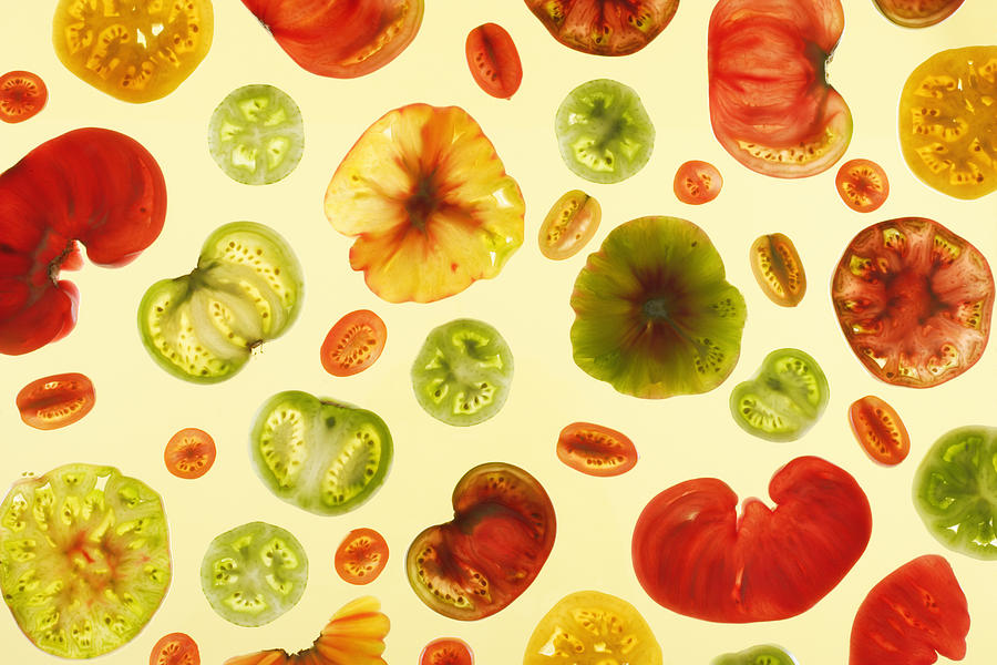 Slices Of Various Tomatoes On Colored #1 Photograph by Paul Taylor