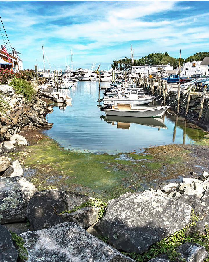 Small boats lining waterfront in Wickford Cove #1 Photograph by Alex Grichenko