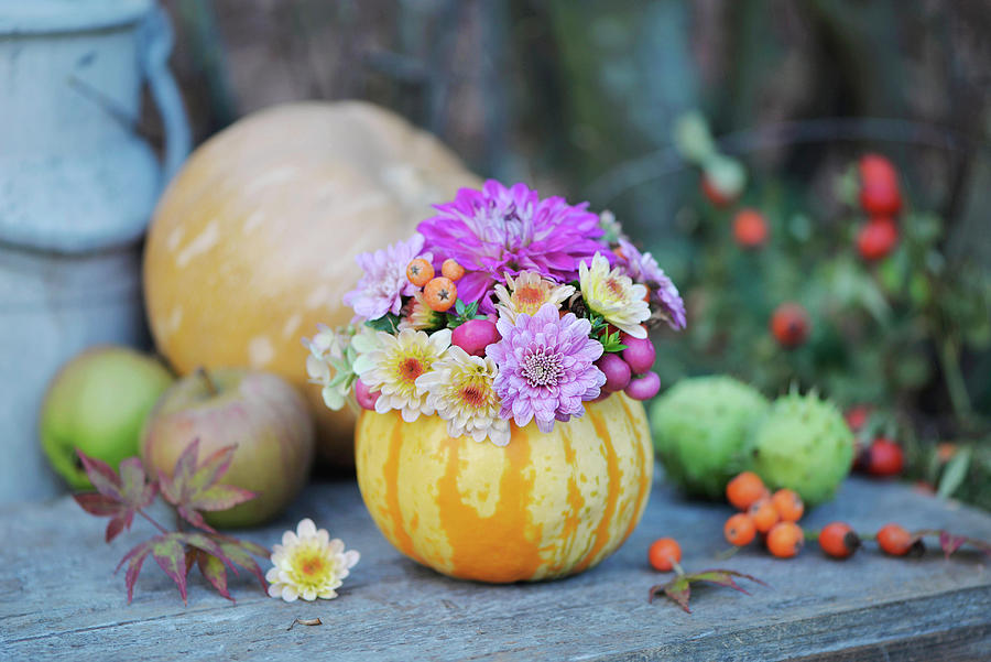 Small Bouquet Of Chrysanthemums In A Pumpkin As A Vase #1 Photograph by Daniela Behr