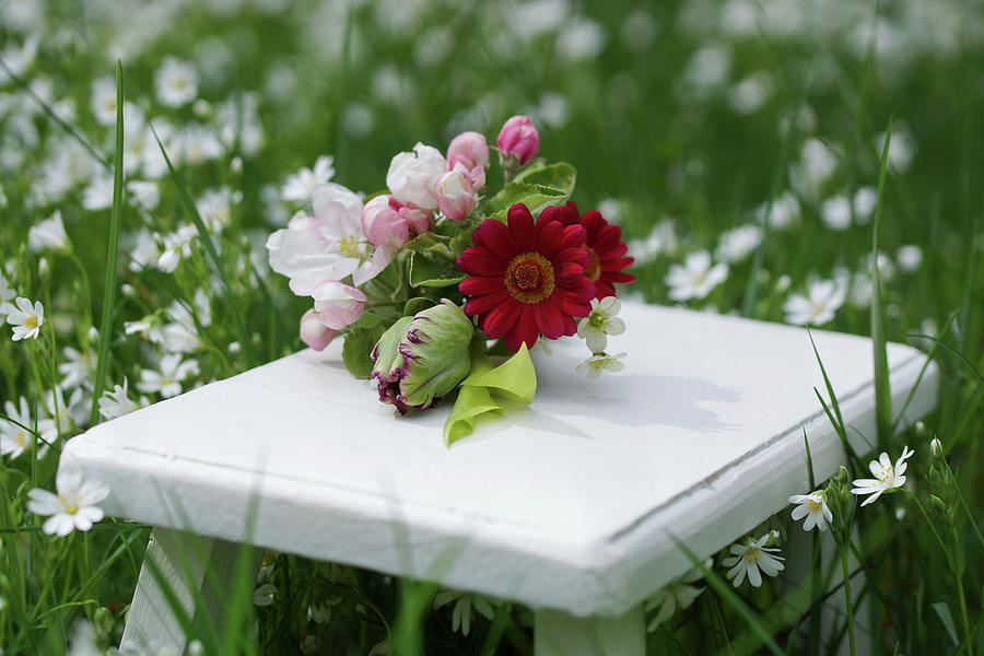 Small Bouquet With Apple Blossoms, Parrot Tulips And Red Daisies On A Side Table In The Meadow #1 Photograph by Angelica Linnhoff