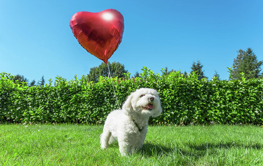 Summer Meadow Heart Shaped Canvas Painting 