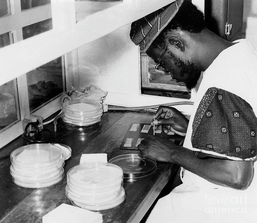 Smallpox Research #1 Photograph by Cdc/science Photo Library