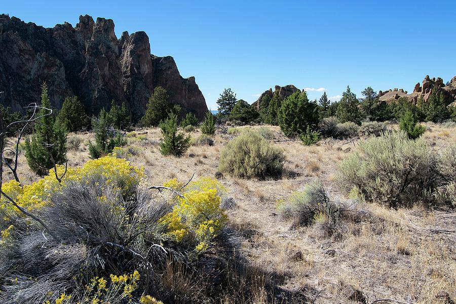Smith Rock State Park #1 Photograph by Bonnie Bruno