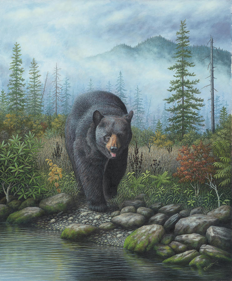 Animal Photograph - Smoky Mountain Black Bear #1 by Robert Wavra