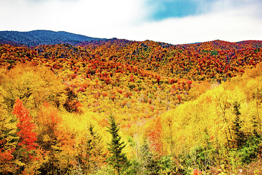 Smoky Mountains in Fall Photograph by Garrick Besterwitch - Fine Art ...