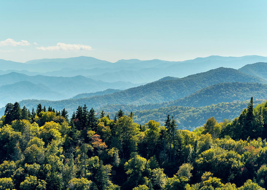 Smoky Mountains National Park, Newfound Gap, Border Of North Carolina 