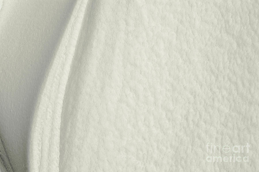Snow Abstract 2 Photograph by Richard Booth