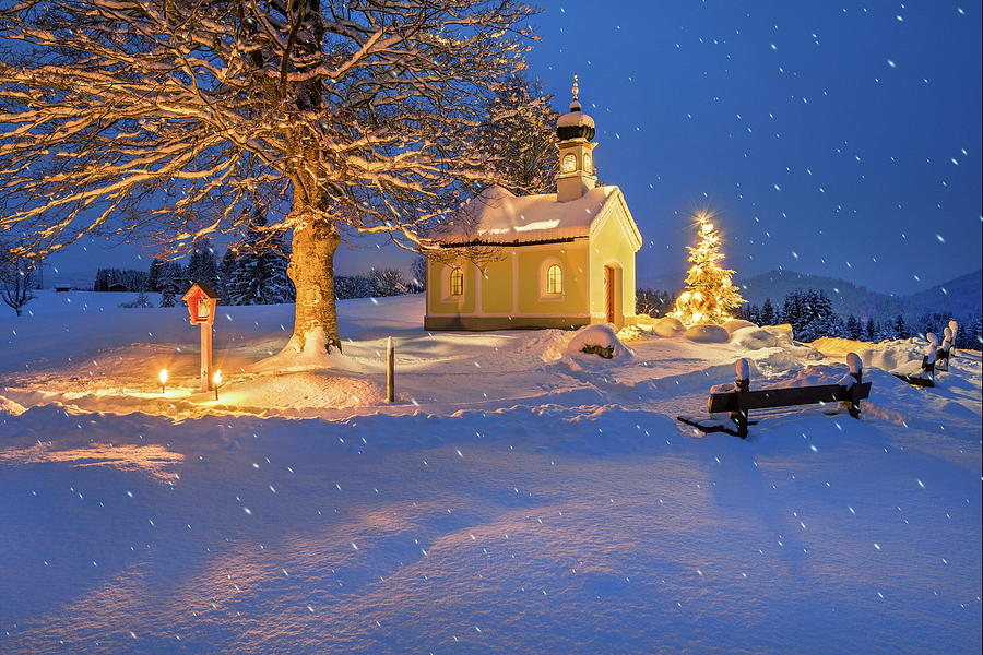 Snow Covered Chapel & Christmas Tree #1 Digital Art by Reinhard Schmid