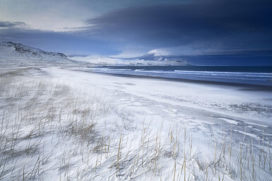 Snow Covered Coast, Iceland #1 Digital Art by Fortunato Gatto