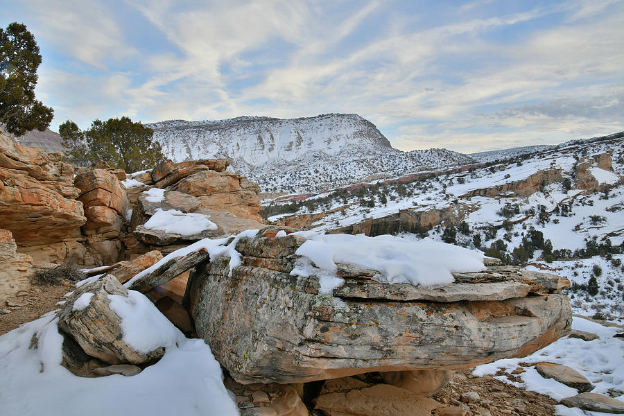 Snow Covered Colorado National Monument #1 Photograph by Ray Mathis
