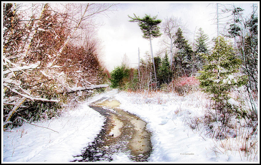 Snow on a Mountain Back Road #1 Photograph by A Macarthur Gurmankin