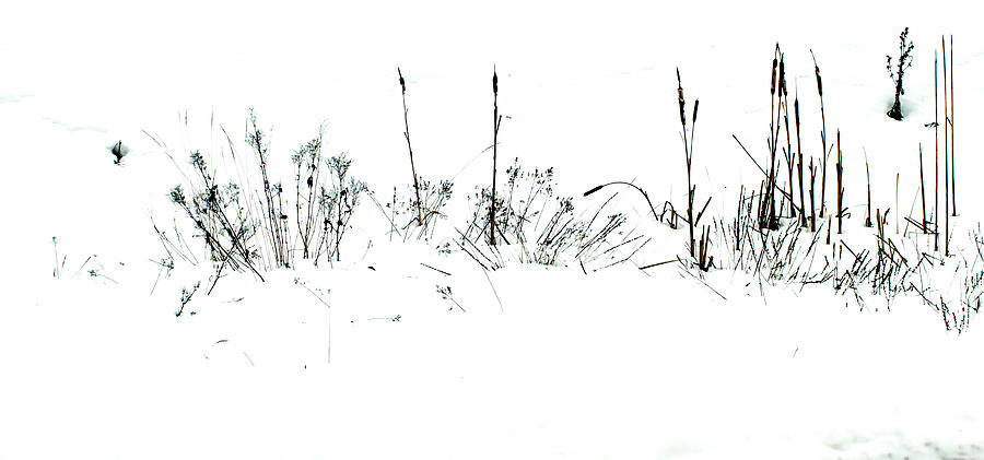 Snow Scene by Jarmo Honkanen Snow Scene by Jarmo Honkanen