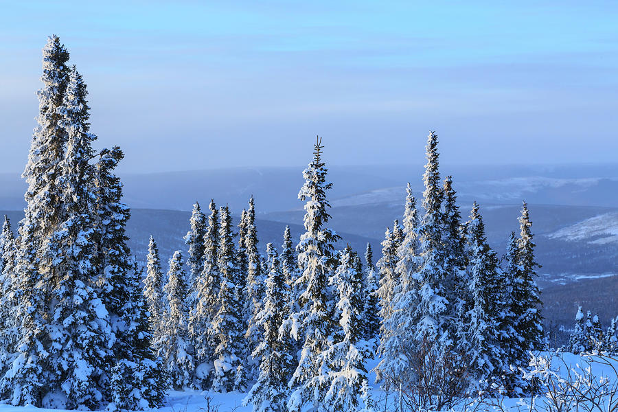 alaska winter scenes