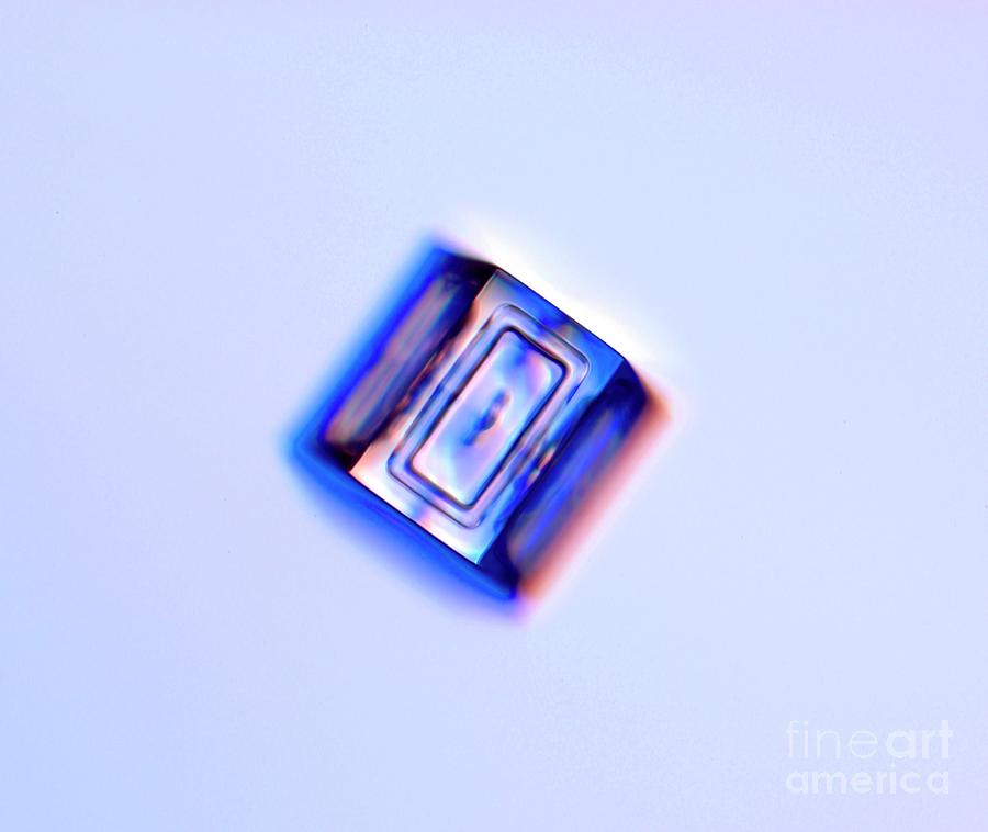 Snowflake Simple Crystal #1 Photograph by Kenneth Libbrecht/science Photo Library