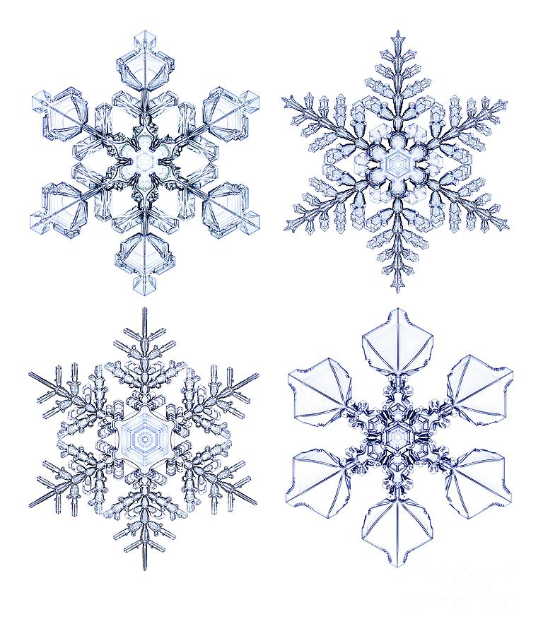 Snowflakes Photograph by Kenneth Libbrecht/science Photo Library - Fine ...