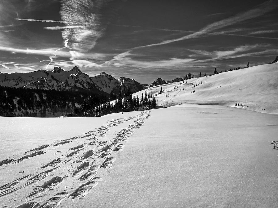 Snowshoe Tracks In The Snow Photograph by Mountain Dreams | Fine Art