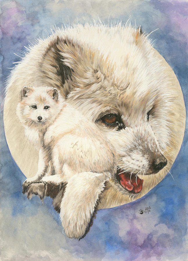 Arctic Fox Painting - Snowy #1 by Barbara Keith