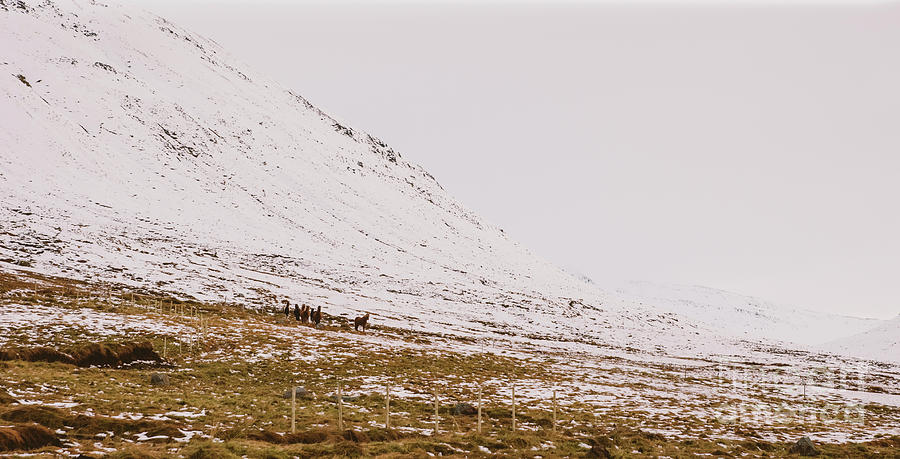 Snowy high mountain landscapes. #1 Photograph by Joaquin Corbalan