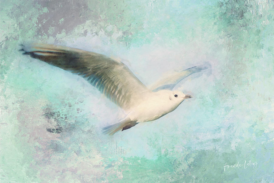Design Mixed Media - Soar by Amanda Lakey Design Mixed Media - Soar by Amanda Lakey