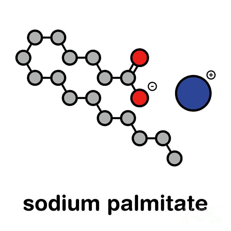 Chemical structure of sodium lauryl sulfate.