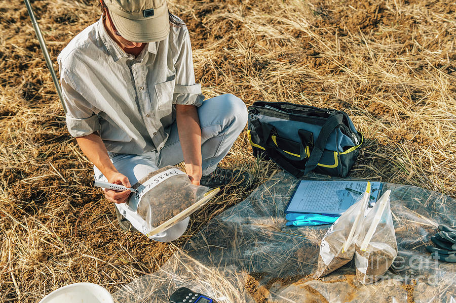 Nature Photograph - Soil Scientist Bagging Soil Samples #1 by Microgen Images/science Photo Library