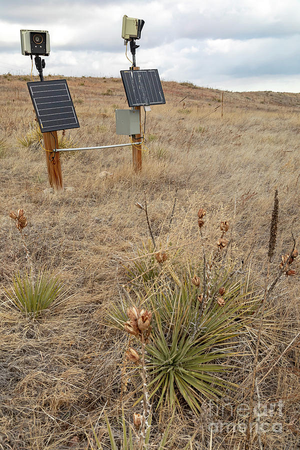 Solar-powered Timelapse Cameras #1 Photograph by Jim West/science Photo Library