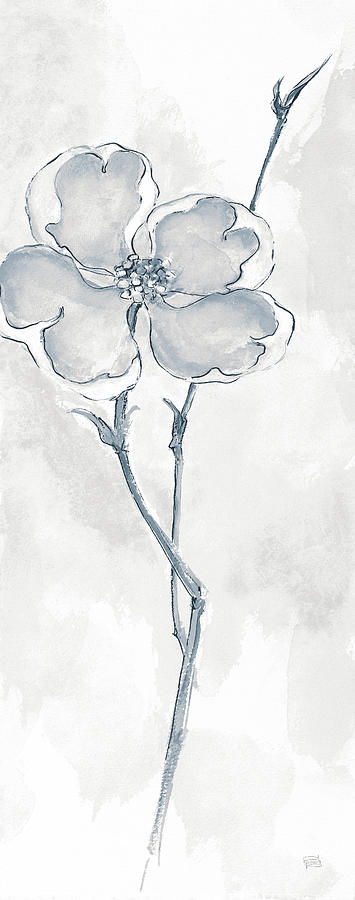 Flowers Still Life Drawing - Solitary Dogwood II Gray #1 by Chris Paschke