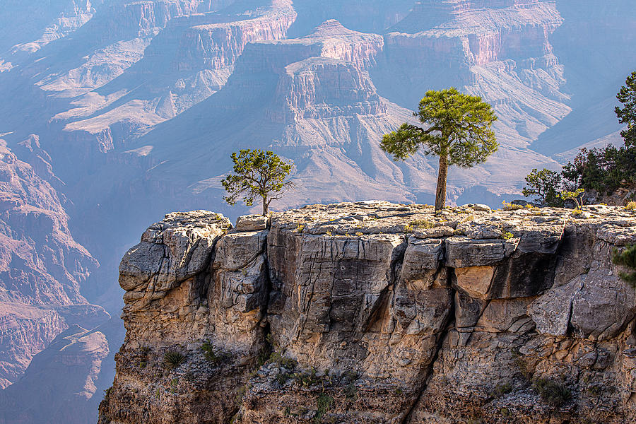 Grand Canyon National Park Photograph - Solitude #1 by Linda Arnado
