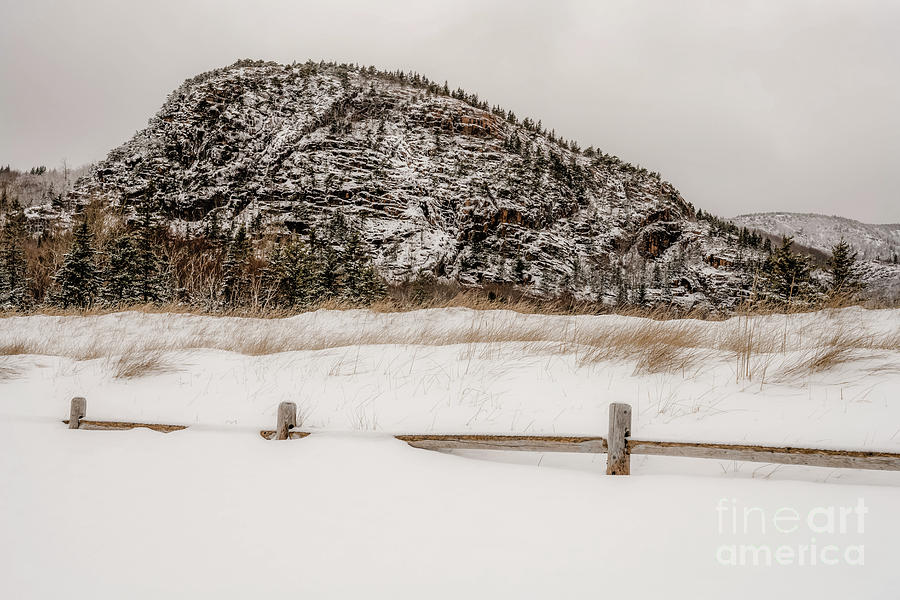 Solitude by Susan Garver Solitude by Susan Garver