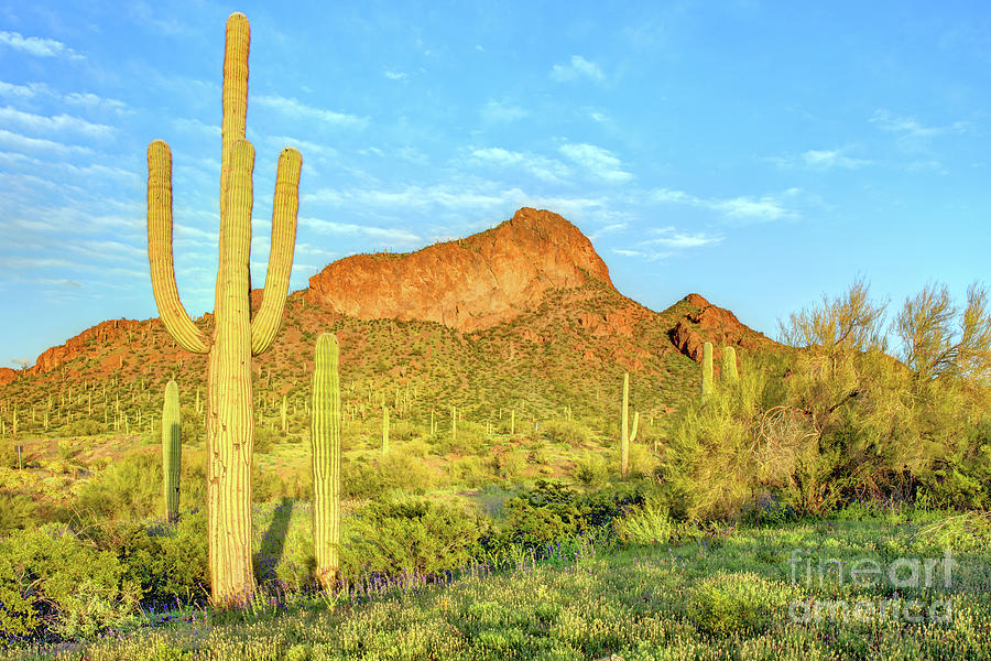 arizona scenery arizona scenery